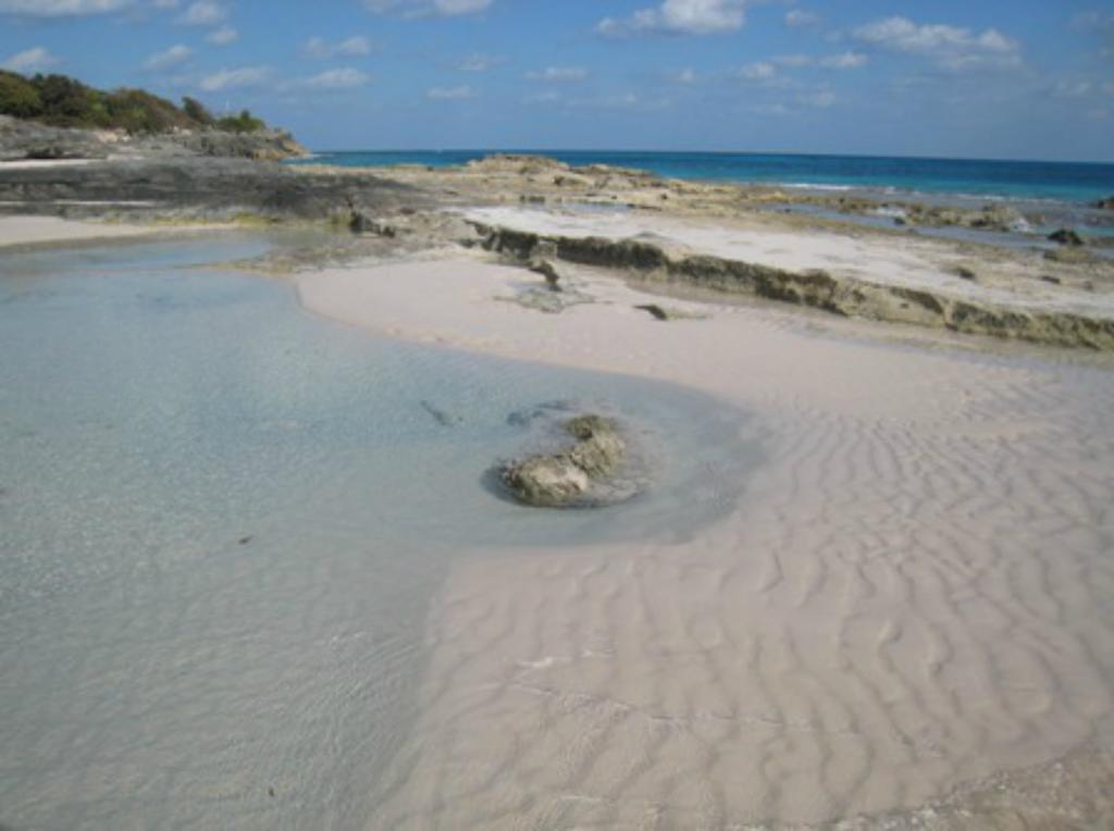 Grape Bay Cottages Mount Pleasant Εξωτερικό φωτογραφία